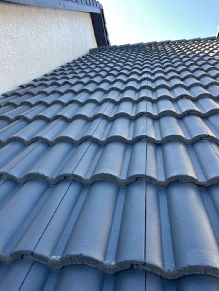 Repair vs. Replace: Smart Decisions for Multi-Family Roofs